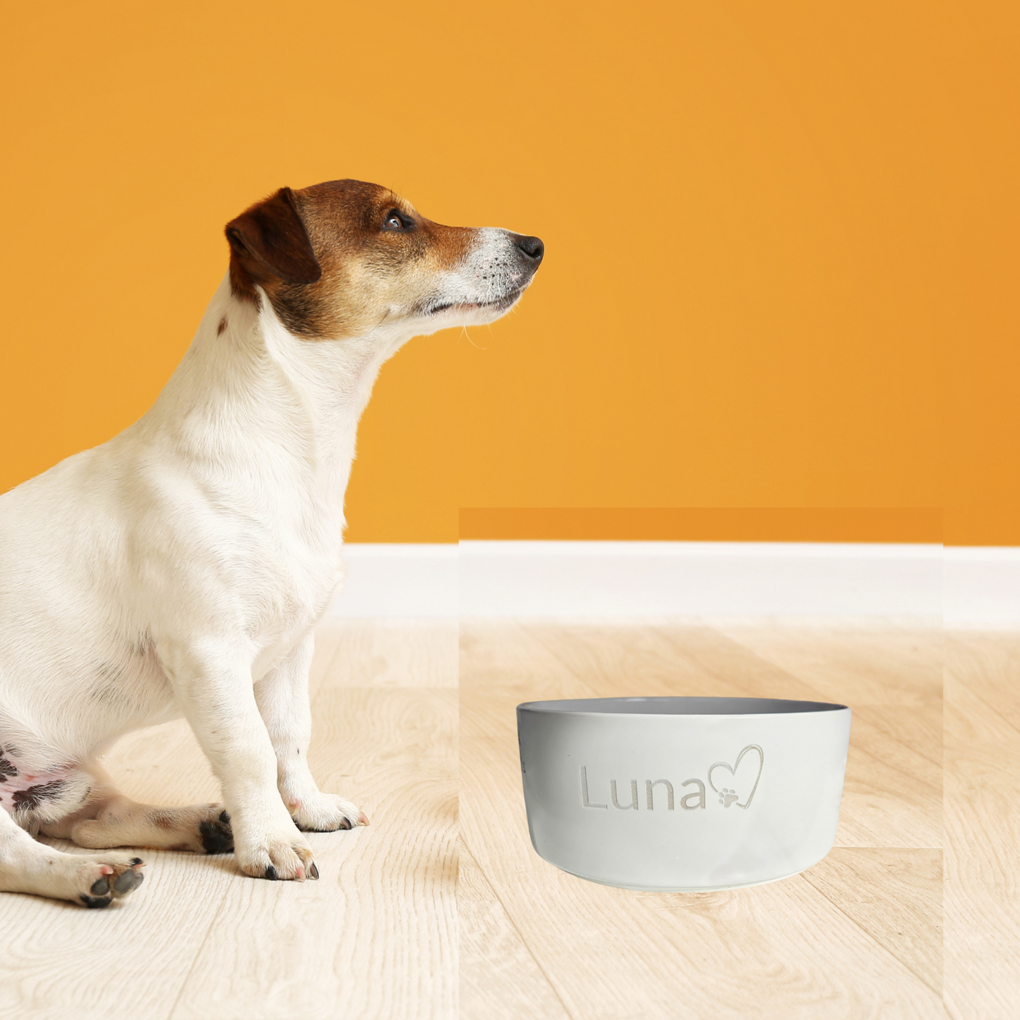 Dog sitting next to a personalised engraved white bowl on a wooden floor with an orange wall in the background