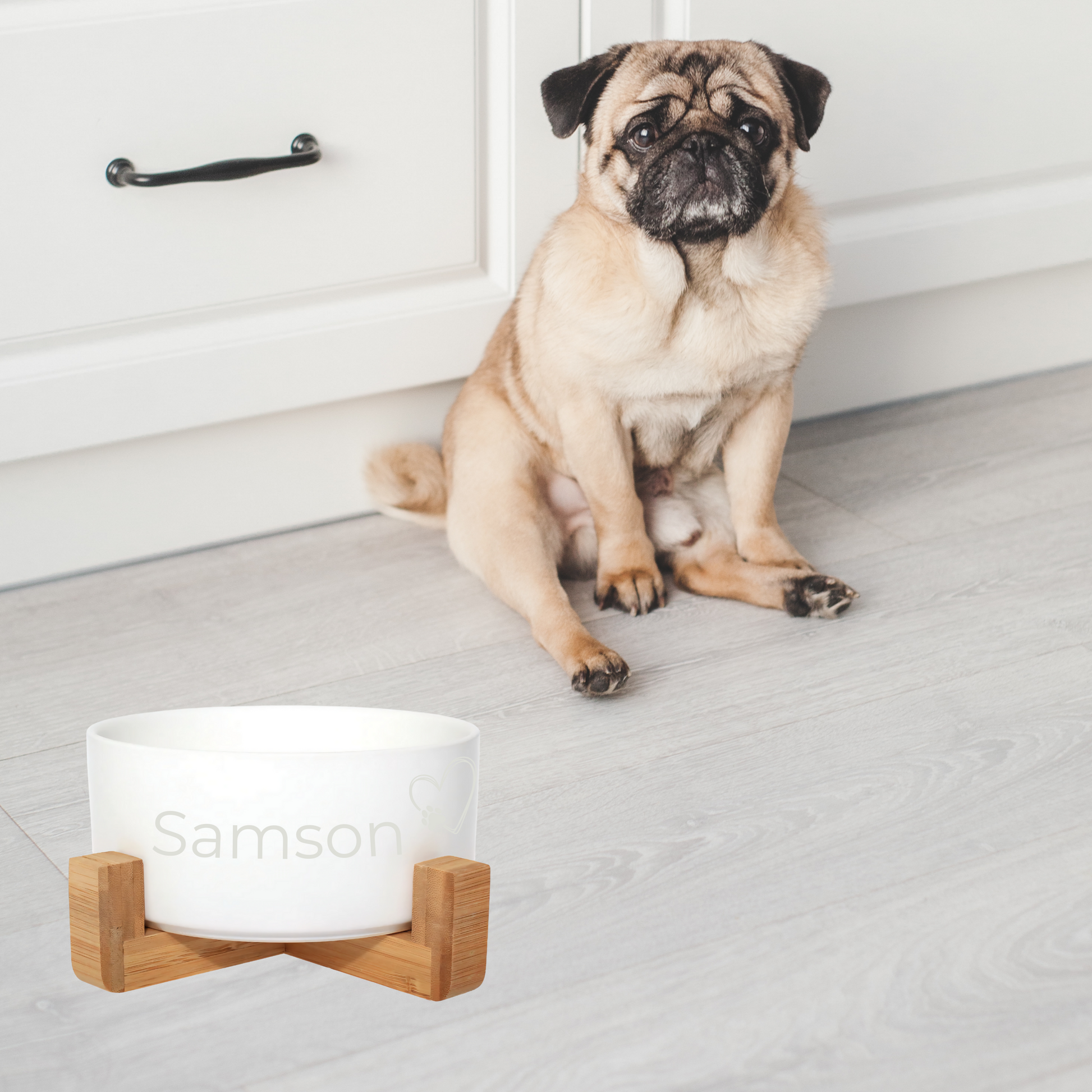 Pug sitting next to a personalised white bowl with 'Samson' branding on a light wooden floor.